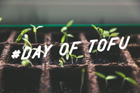 Wir haben Taifun Tofu in Freiburg besucht