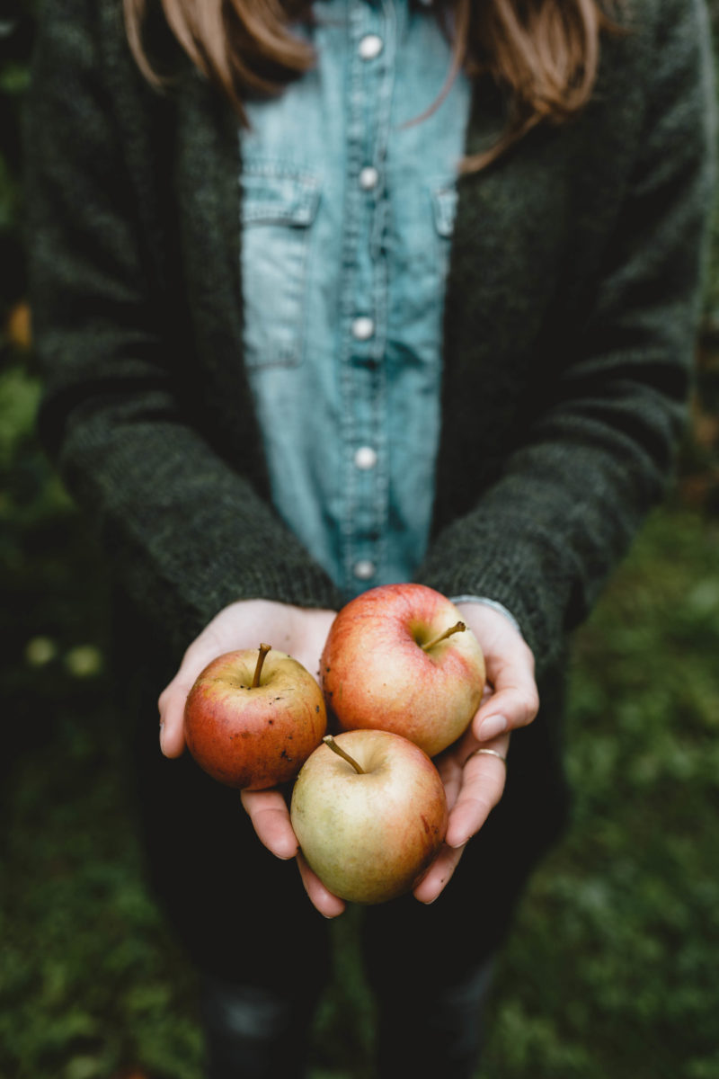Apfelliebe – Regionale Äpfel vom Bodensee