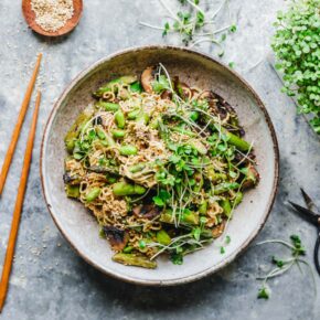 Sesamnudeln mit Spargel und Pilzen