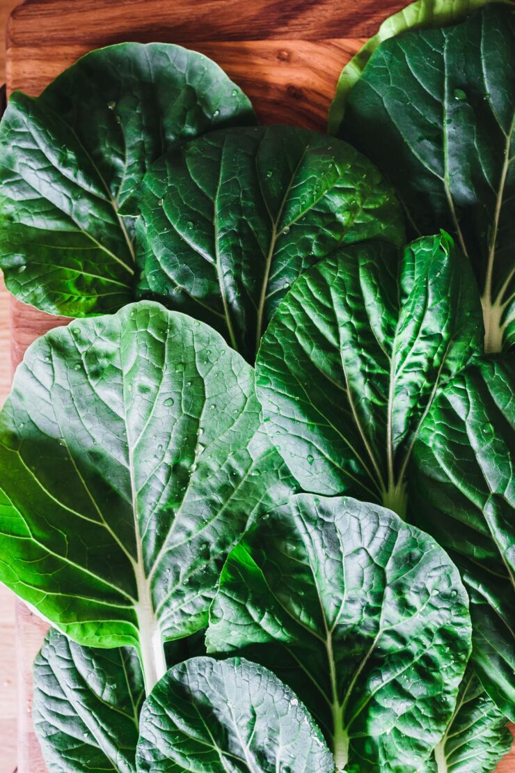 Gedämpfter Pak Choi mit Knoblauch-Ingwer-Sauce · Eat this! Food Blog Gedämpfter Pak Choi mit Knoblauch-Ingwer-Sauce · Eat this! Food Blog