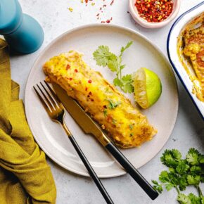 Vegane grüne Enchiladas mit Tofu und Jalapeño-Apfel-Salsa