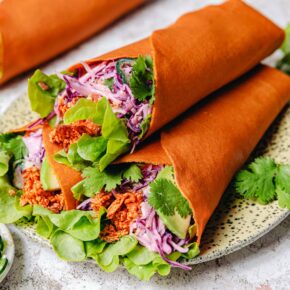 Wraps mit „shredded“ Barbecue-Tofu