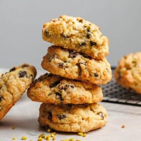 Vegane Kokoksmakronen-Cookies wie in New York