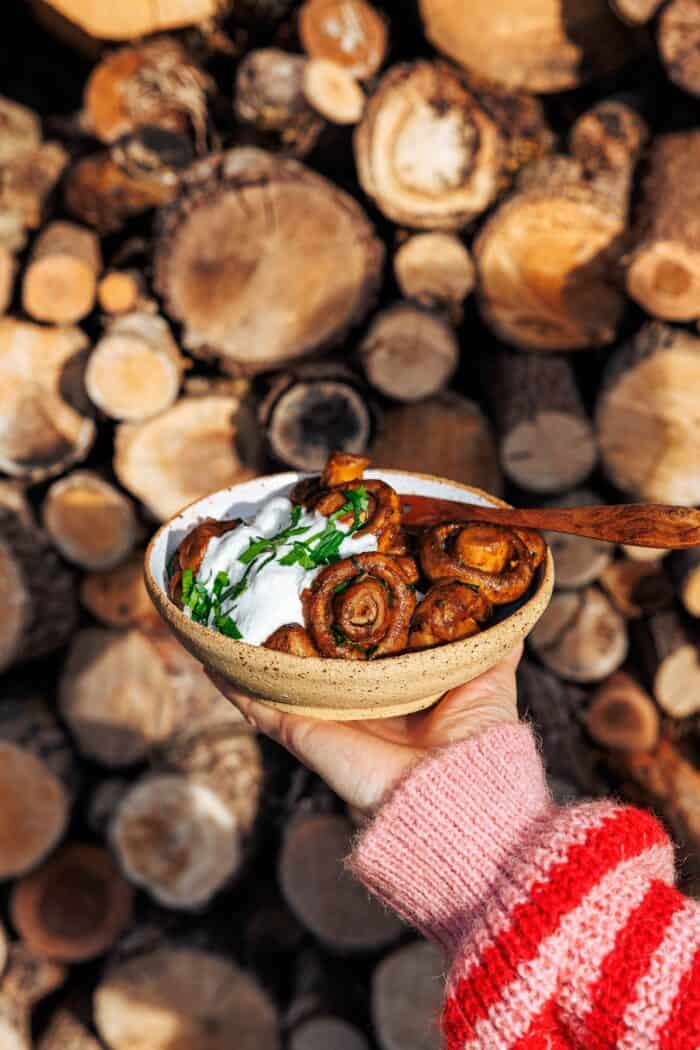 Champignons wie vom Weihnachtsmarkt